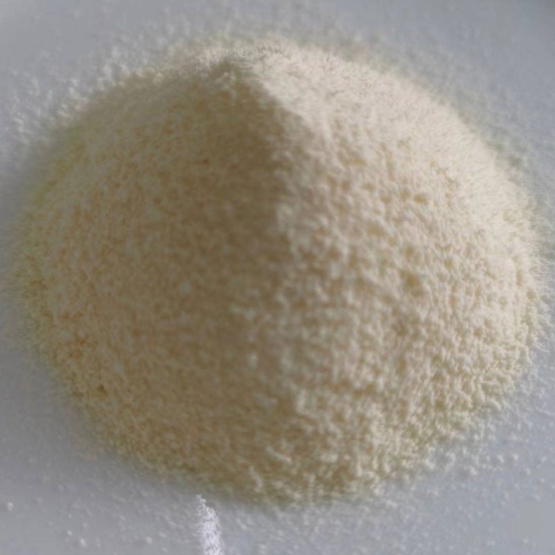 Hogyan javítja az emésztőrendszer egészségét az antacid, nem tejtermékekből készült krém?